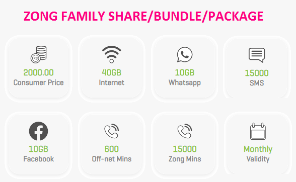 Zong Family package details