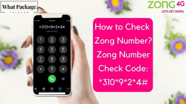 how to check Zong number